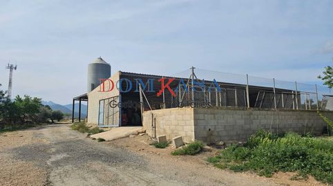 Granjas de crie y engorde, negocios de agricultura y casas., imatge 4