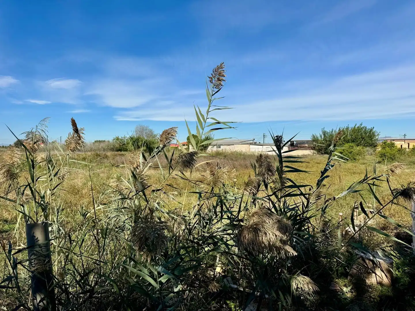 Finca rústica en venta en Murcia