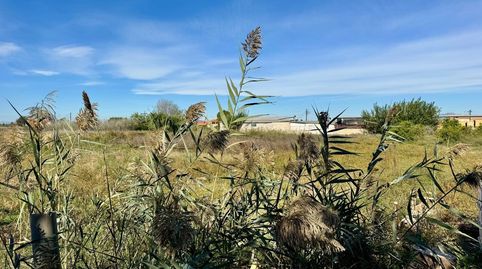 Foto 4 de Finca rústica en venta en Vereda de Tabala, Alquerías, Murcia Capital