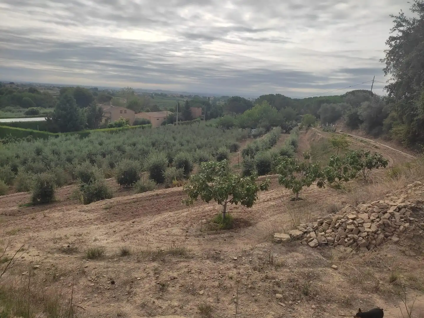 Terreno rustico in vendita a Partides de Lleida, imagen 7