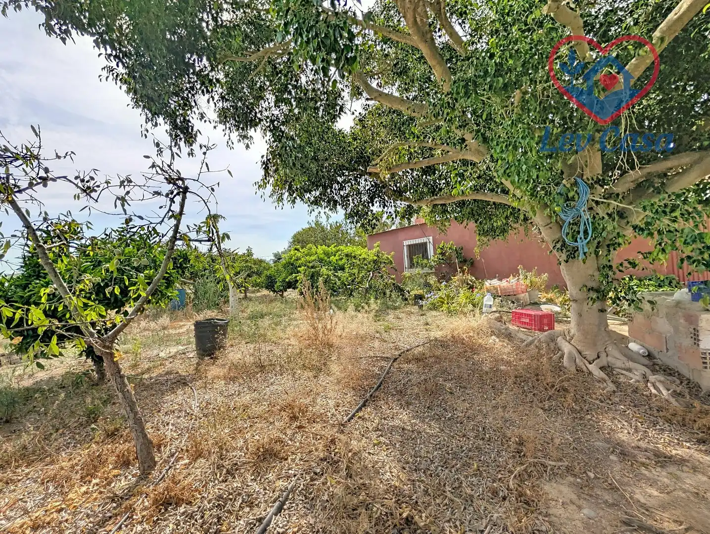 Casa o chalet en venta en Lorca