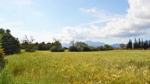 Photo 3 of Country house for sale in Llubí, Illes Balears