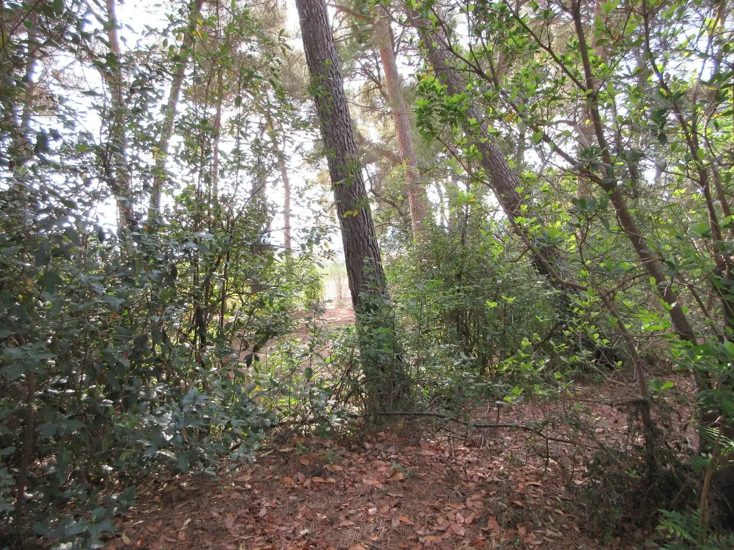 Detached house with garden for sale in Ibi, imagen 39