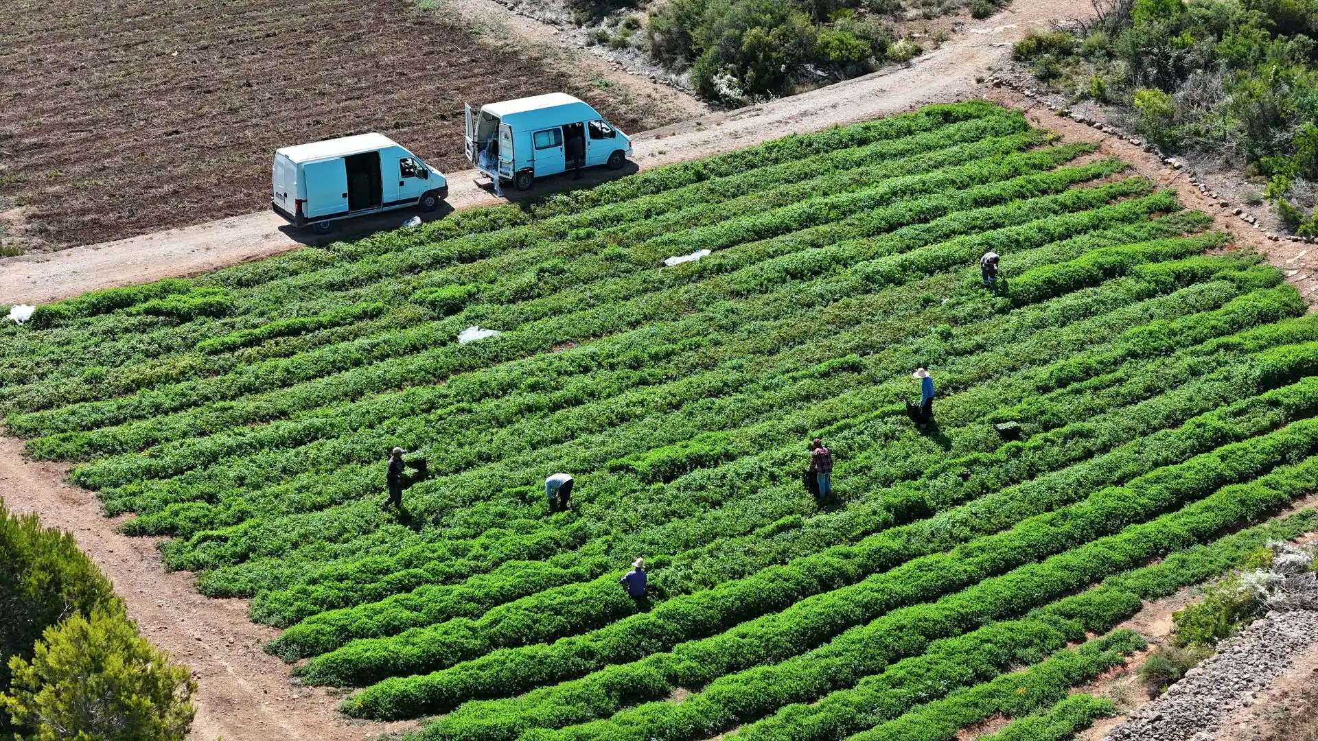 Jardín de Terreno en venta en Tortosa