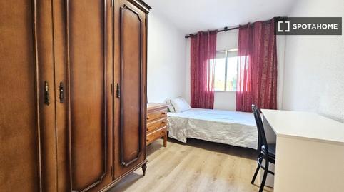 Photo 2 of Flat to share in Ciudad Jardín - Tagarete - El Zapillo,  Almería Capital