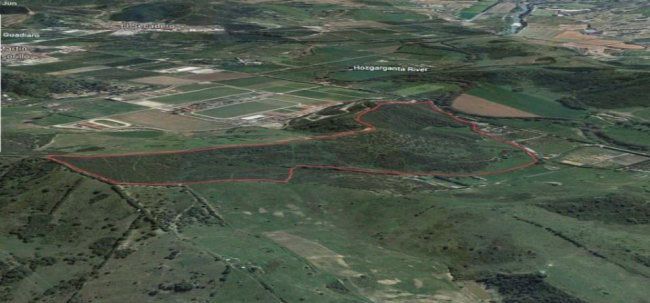 Finca rústica en venta en San Martín del Tesorillo