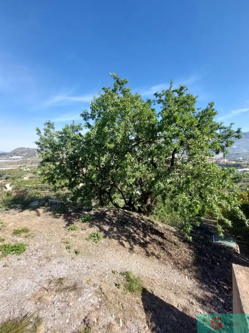 Casa rústica en venta en Molvízar, imagen 14