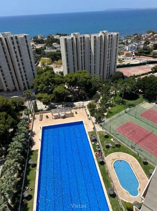 Piscina de Pis de lloguer en Alicante / Alacant amb Jardí privat, Terrassa i Balcó