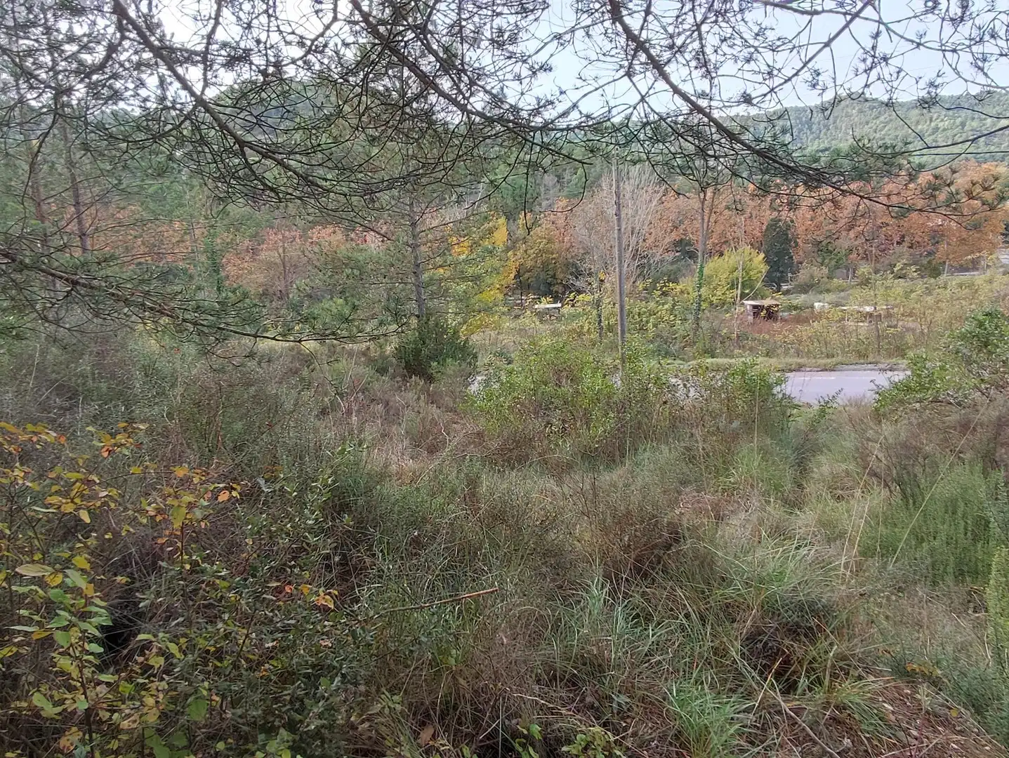 Terrain rustique à vendre à Monistrol de Calders, imagen 38