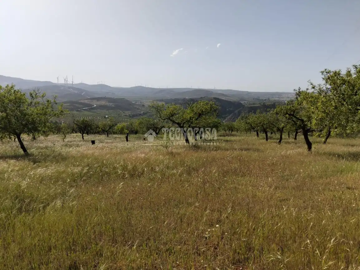 Rural land for sale in Dúrcal, imagen 17