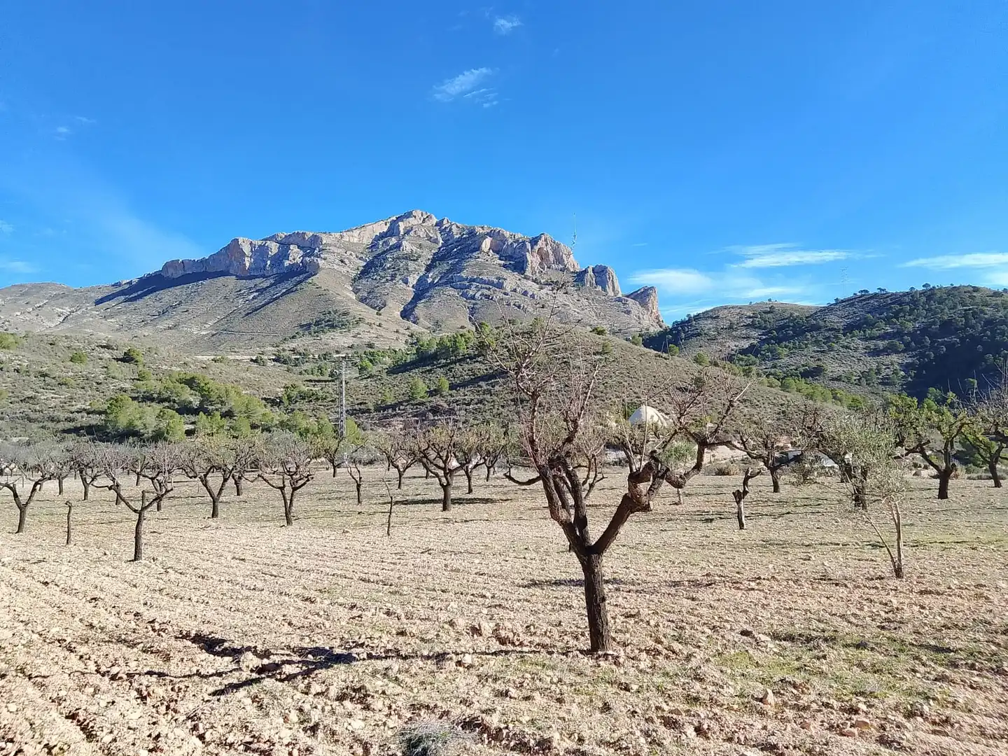 Terreno rustico in vendita a Carrer la Creu, imagen 23