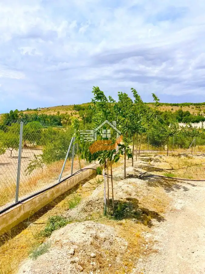 Chalet en venta en Vélez-Blanco, imagen 6