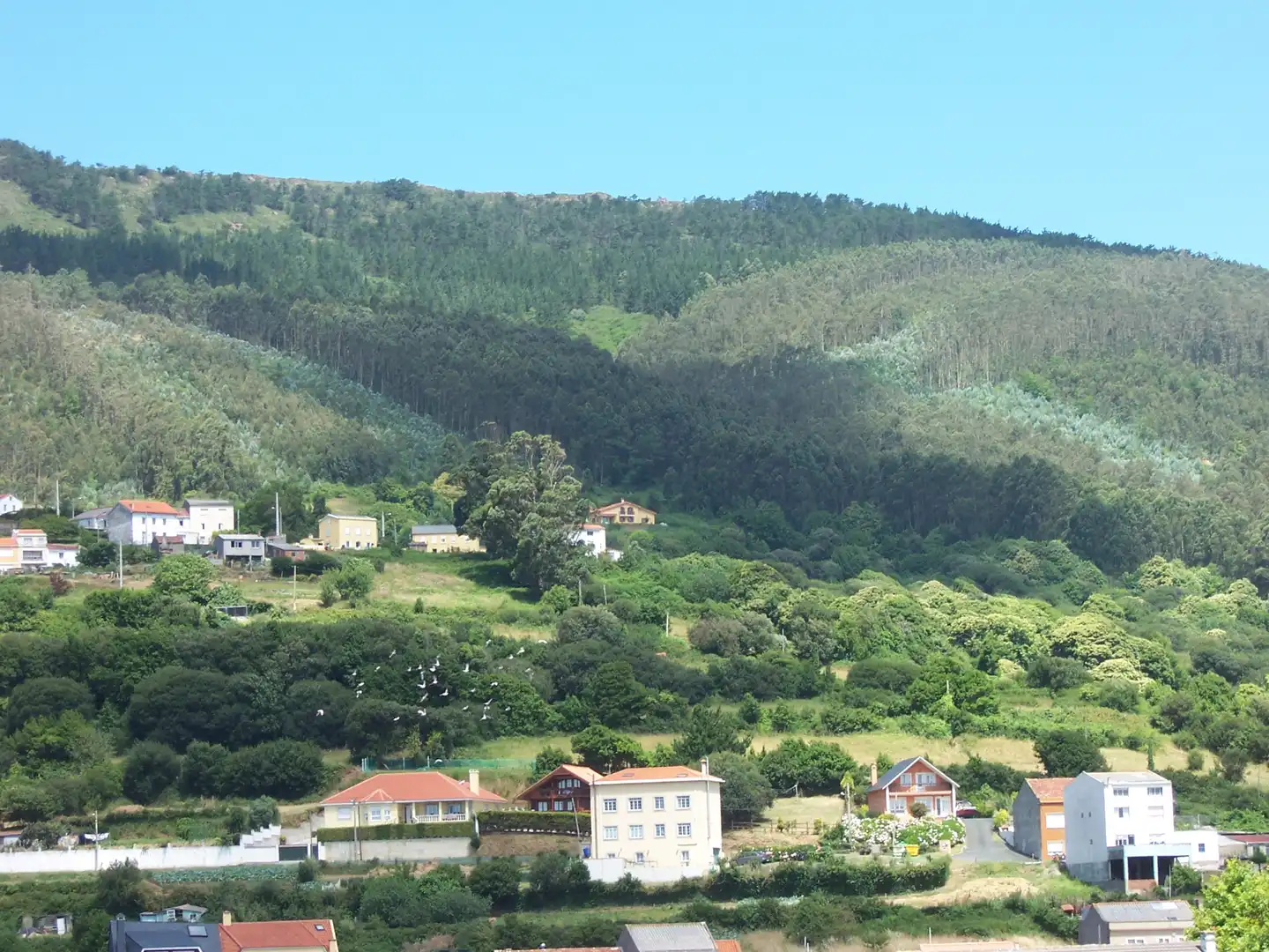 Außenansicht von Wohnungen zum Verkauf in Cariño mit Heizung, Parkett und Abstellraum