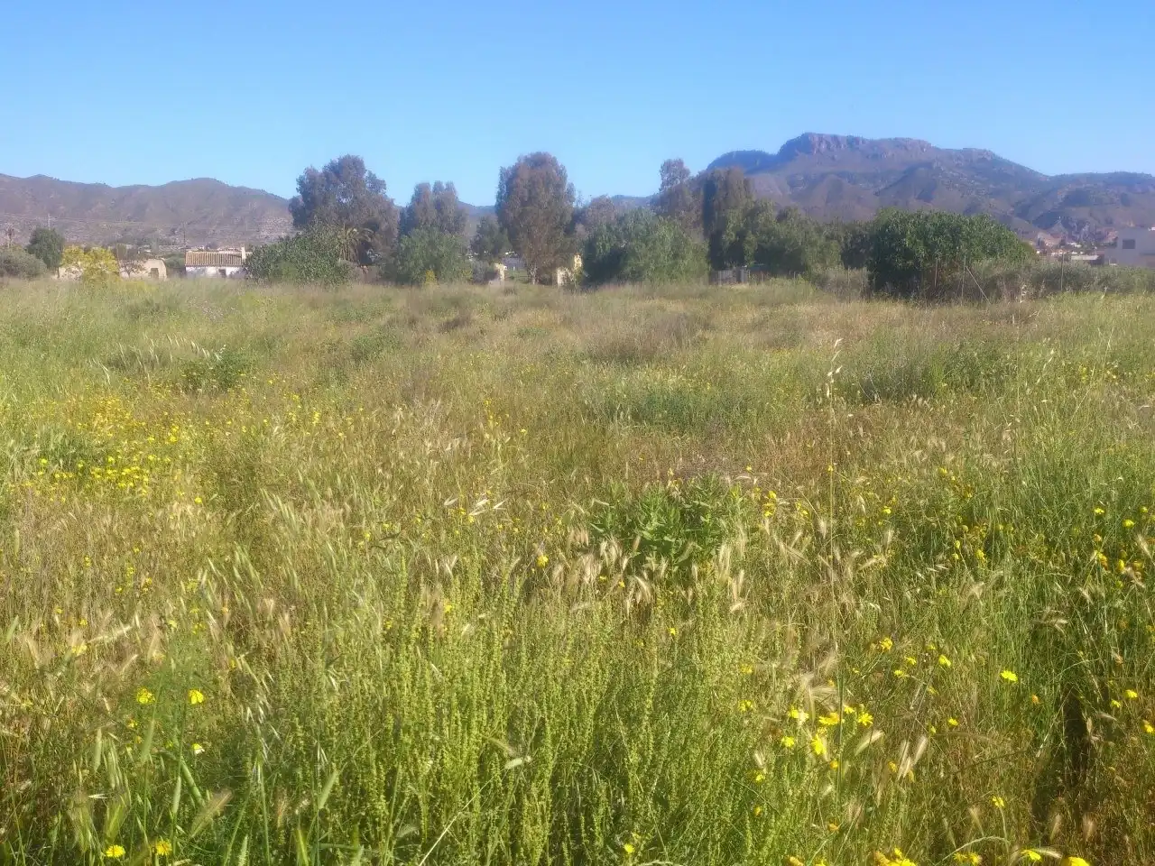 Terreno residencial en venta en Lorca Ciudad, imagen 5