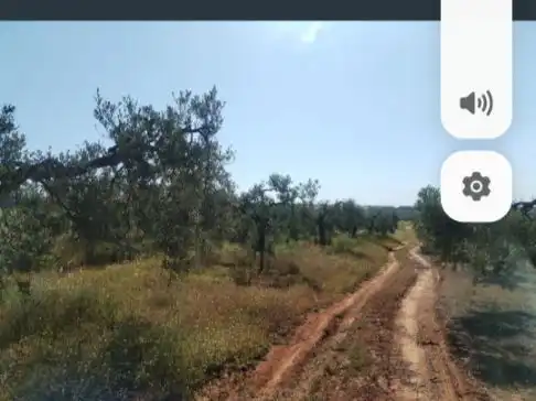 Land for sale in Chucena