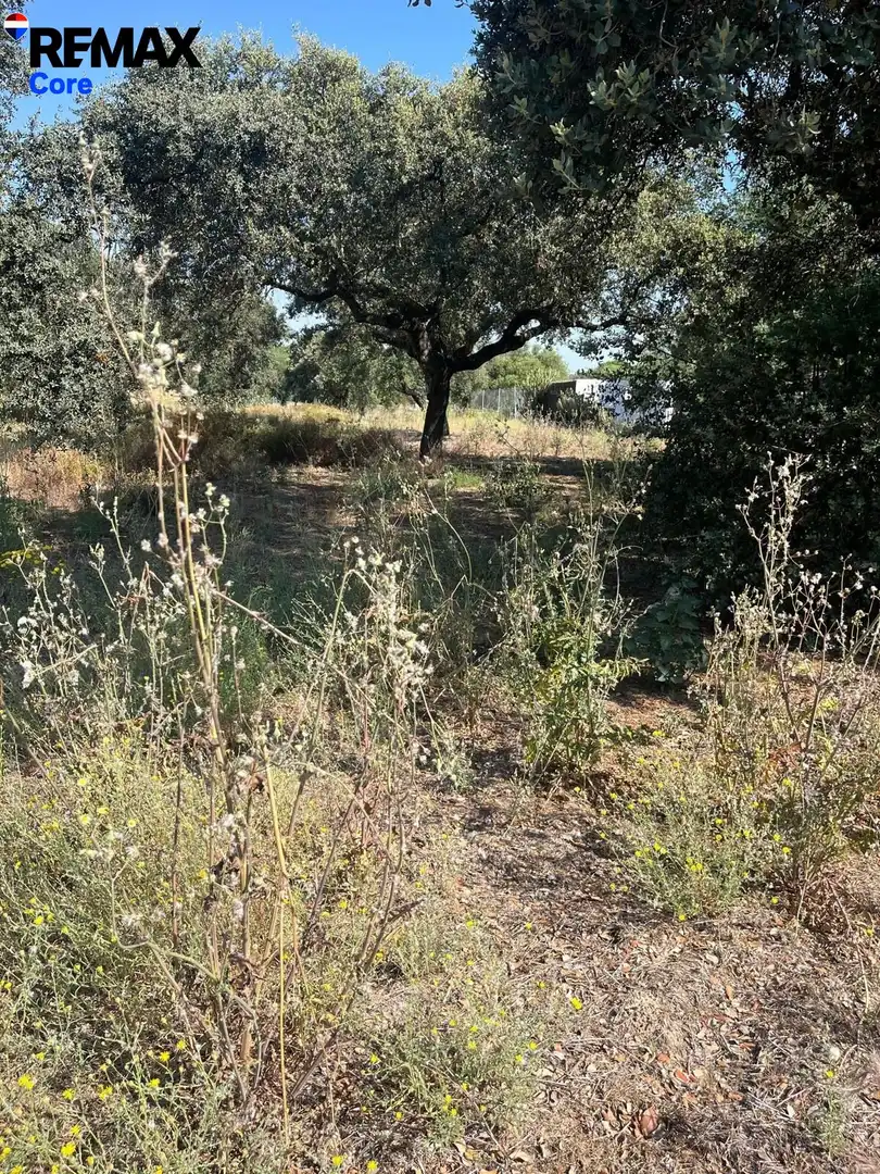 Terreni e lotti in vendita a Las Vaguadas, imagen 12