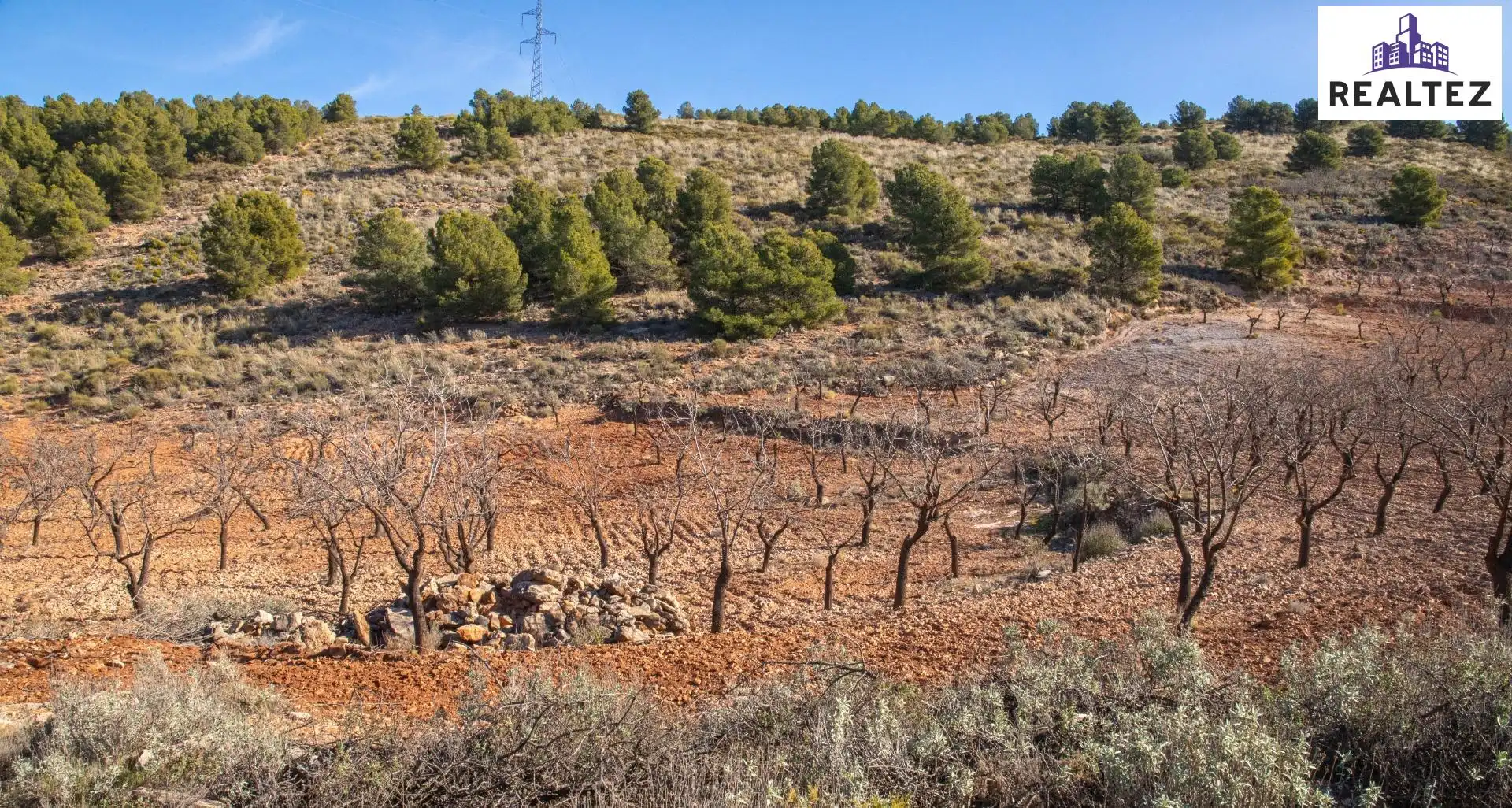 Terrain rustique à vendre à Alcolea, imagen 7