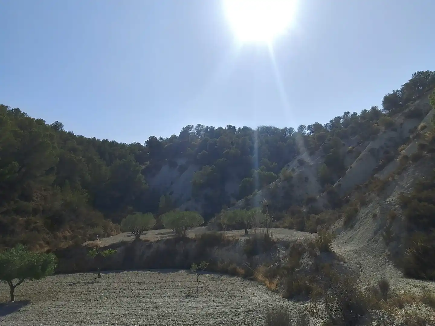 Terreno rustico in vendita a N/A, imagen 113