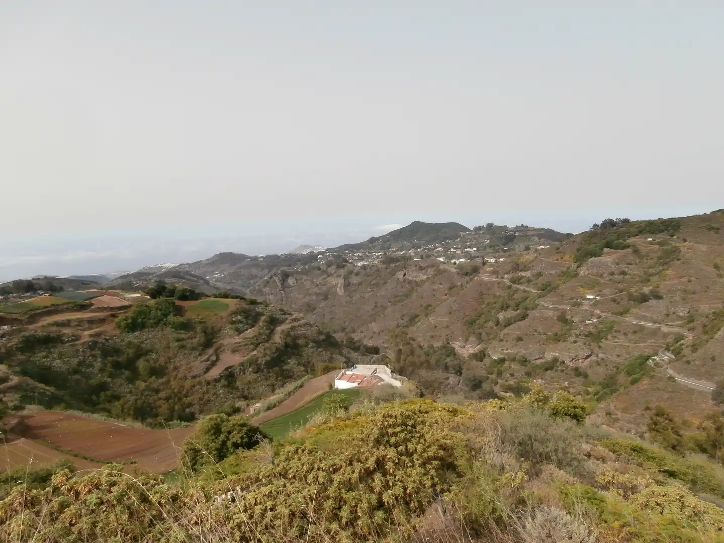 Finca rústica en venta en Camino Lomo el Marco, 41, Moya (Las Palmas)