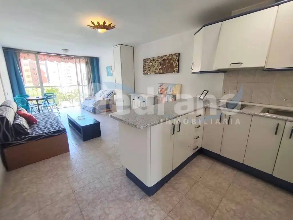 Kitchen of Study for sale in Benidorm  with Private garden, Terrace and Swimming Pool