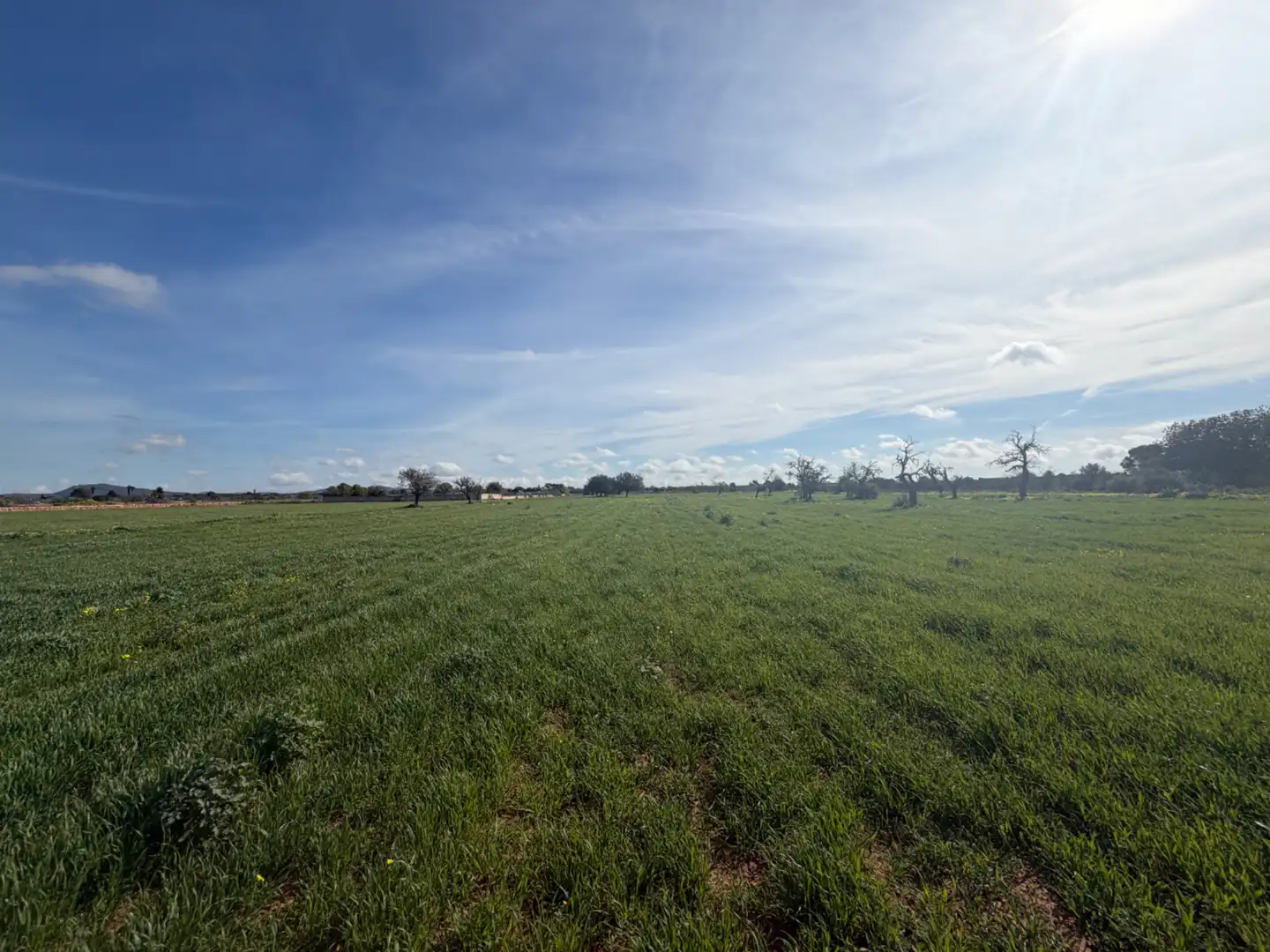 Country homes for sale in Llucmajor  with Air Conditioner, Heating and Private garden