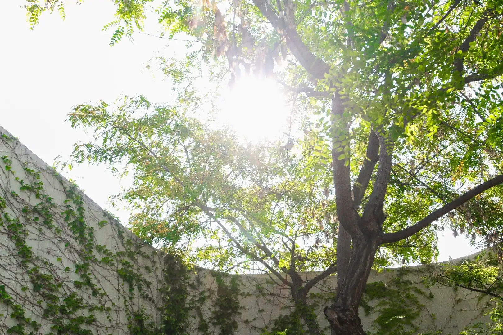 Garden of Houses for sale in San Vicente del Raspeig / Sant Vicent del Raspeig  with Private garden, Storage room and Swimming Pool