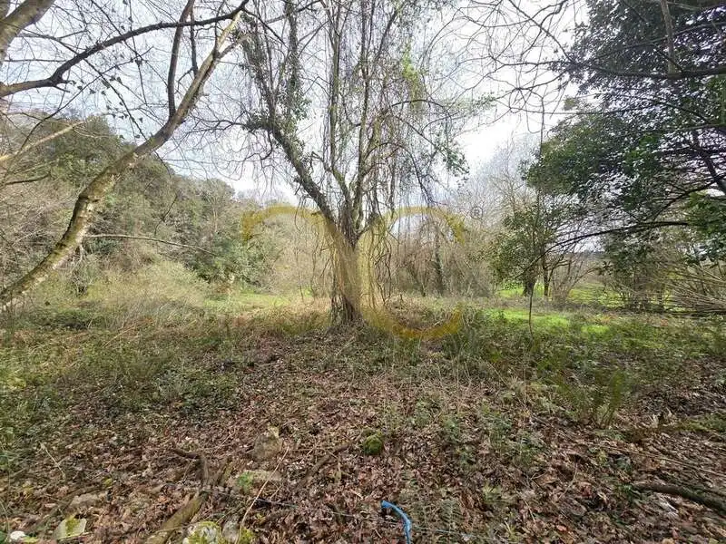 Terreno rustico in vendita a Balmori, imagen 14