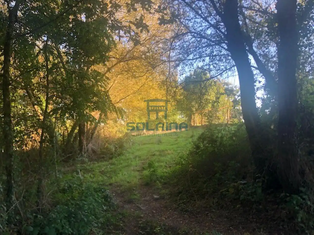 Terreni e lotti in vendita a Nogueira de Ramuín, imagen 9