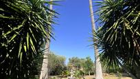 Jardí de Casa o xalet en venda en Marratxí amb Terrassa, Piscina i Balcó