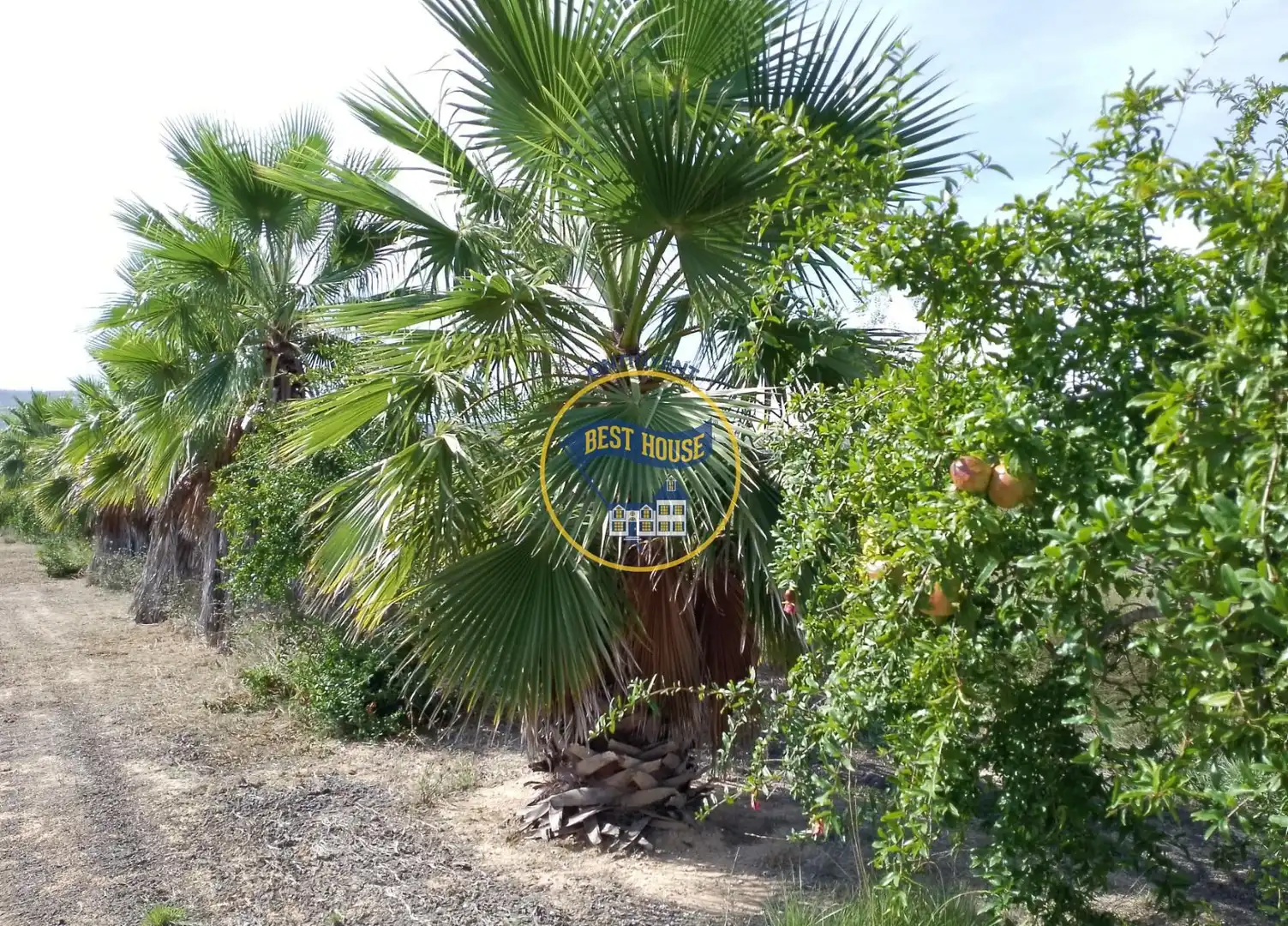Terrenys i solars en venda a Agullent, imagen 20