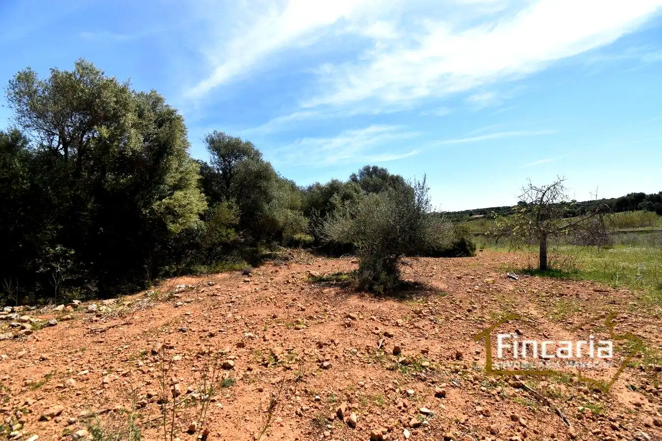 Rural land for sale in De La Torre Nova, imagen 20