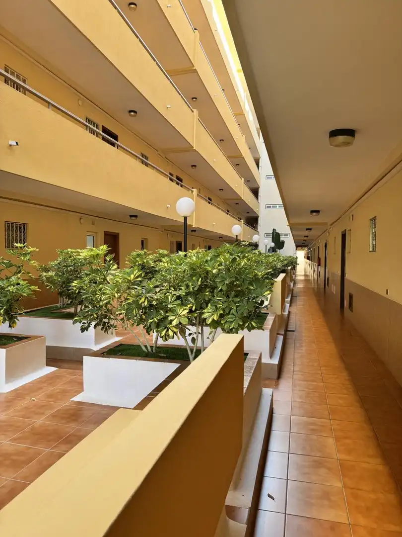 Apartments for rent in Avenida Juan Carlos I, Los Cristianos