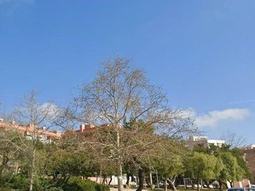 Pis amb piscina en venda a Calle MIQUEL COLL I ALENTORN DE