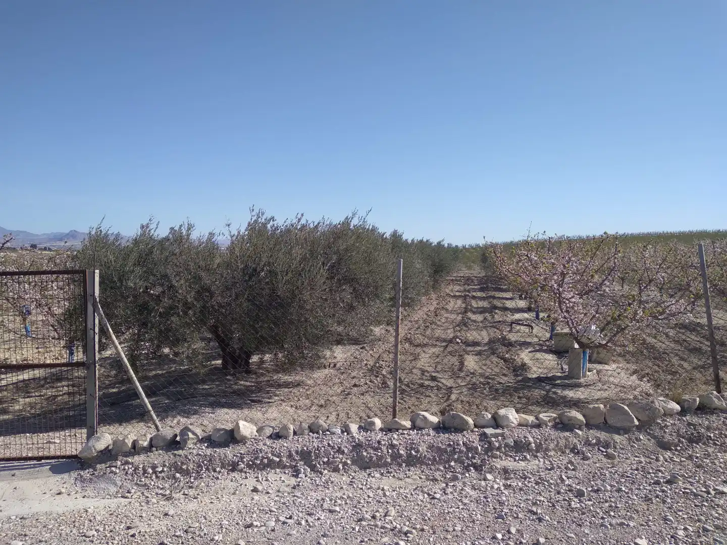 Terreni e lotti in vendita a Campos del Río, imagen 7