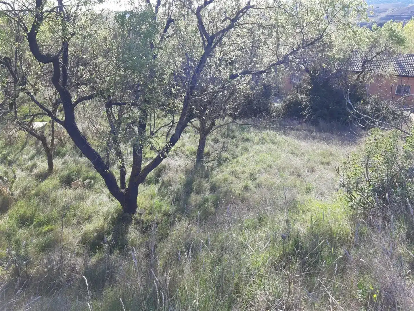 Residencial en venta en Litago