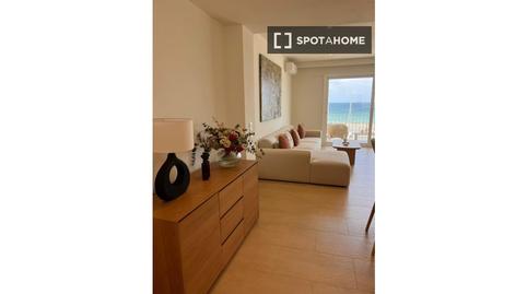 Photo 3 of Apartment to share in Can Picafort, Illes Balears