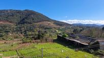 Vista exterior de Dúplex en venda en Ribadavia