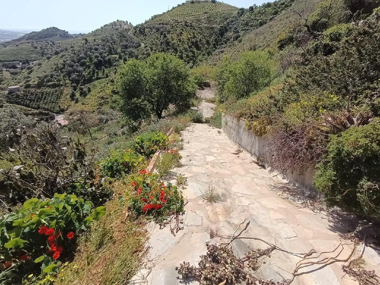 Vista exterior de Casa o xalet en venda en Iznate amb Jardí privat, Terrassa i Traster