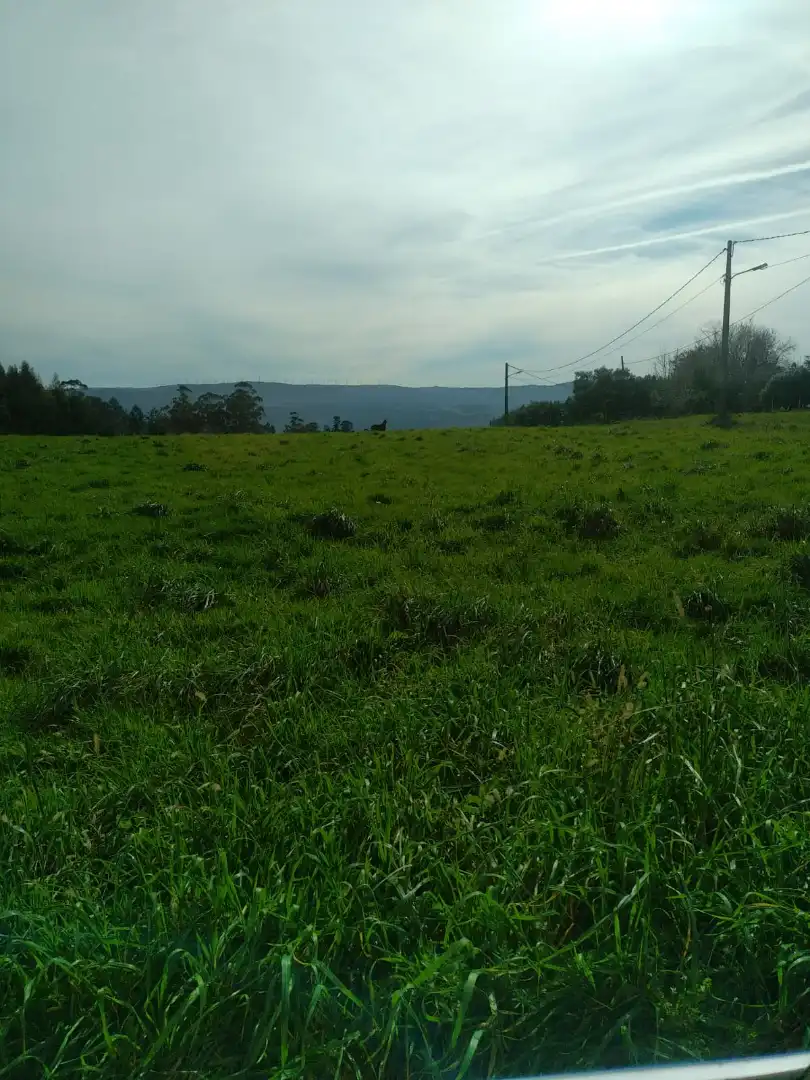 Wohnbaugrundstück zum Verkauf in San Sadurniño, imagen 13