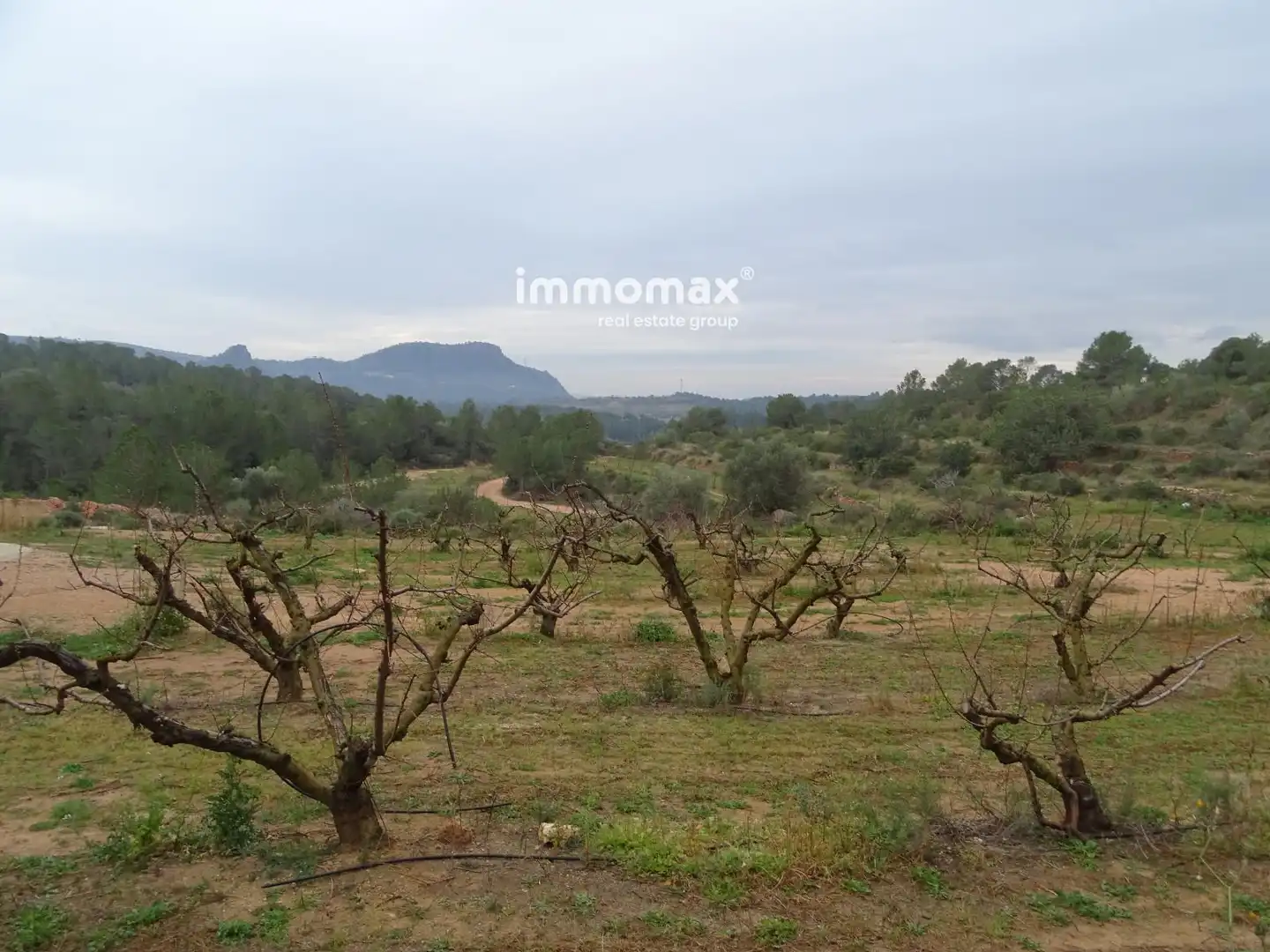 Residencial en venta en Benifallet