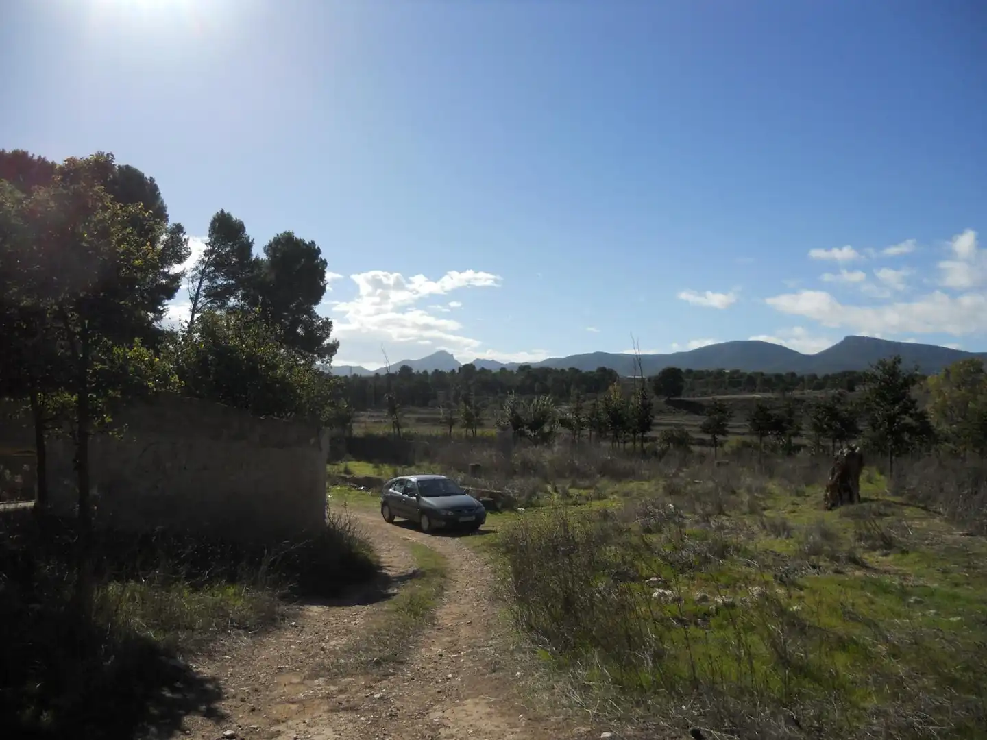 Country homes for sale in Castalla
