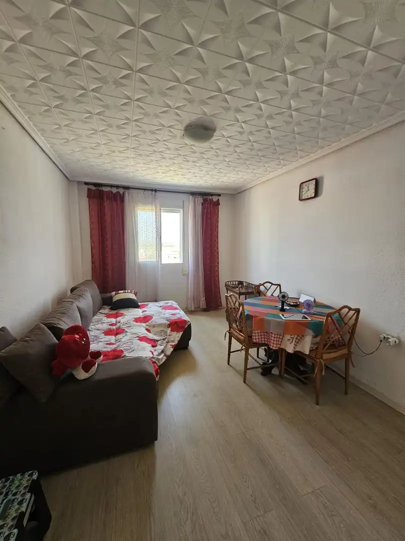 Sala de estar de Piso en venta en Valencia con Aire acondicionado y Amueblado