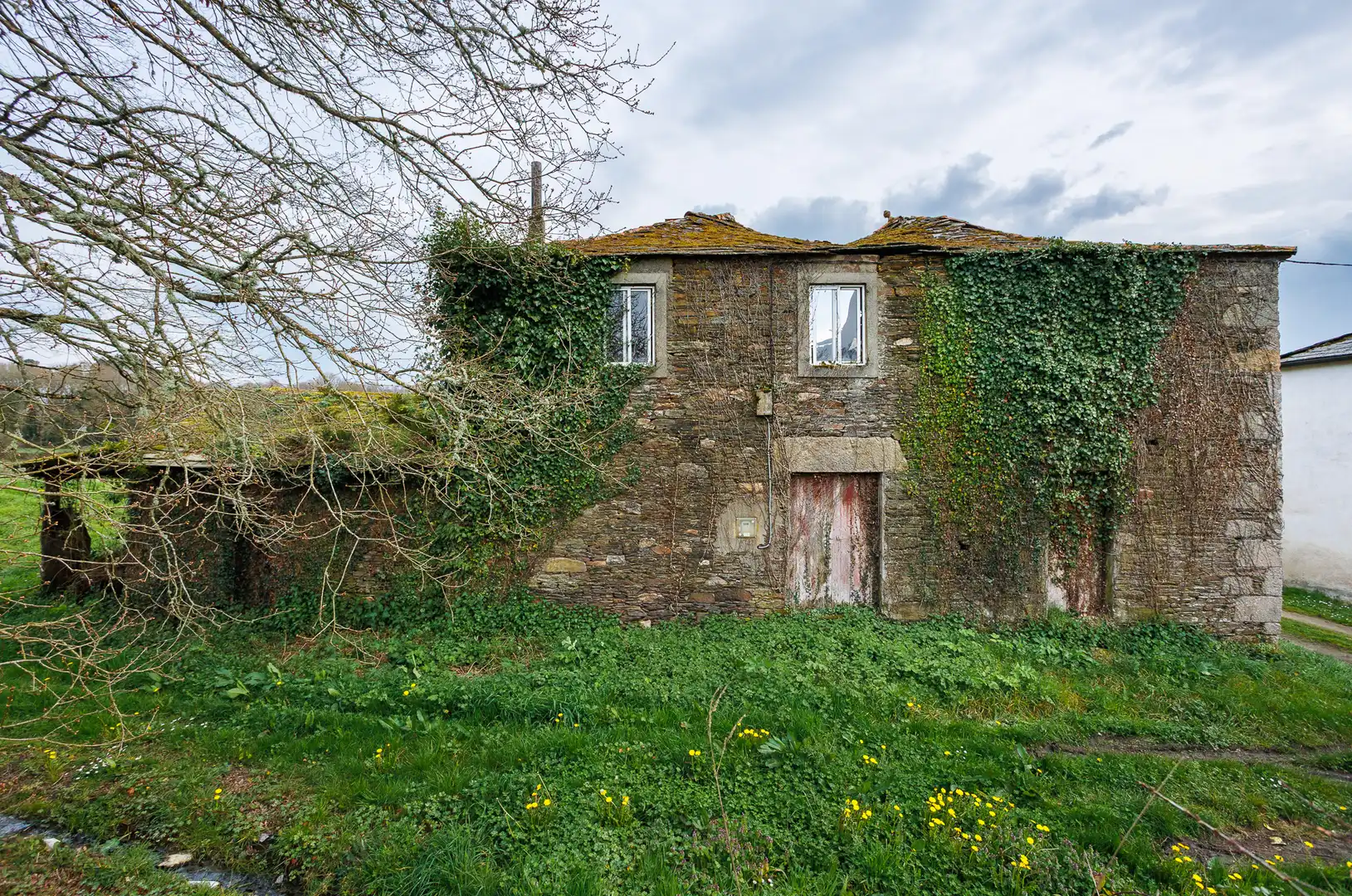 Vista exterior de Finca rústica en venta en Begonte