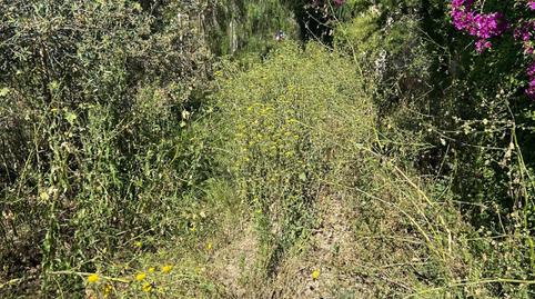 Foto 5 de Terreny en venda a Plaça Numero 6, 30, Buñol, Valencia