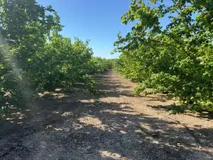 Terreno rustico in vendita a Avinguda de Reus 10, imagen 13