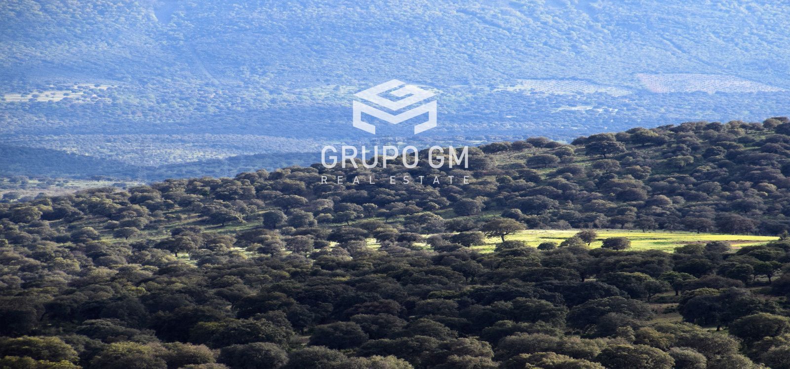 Land for sale in Alamillo