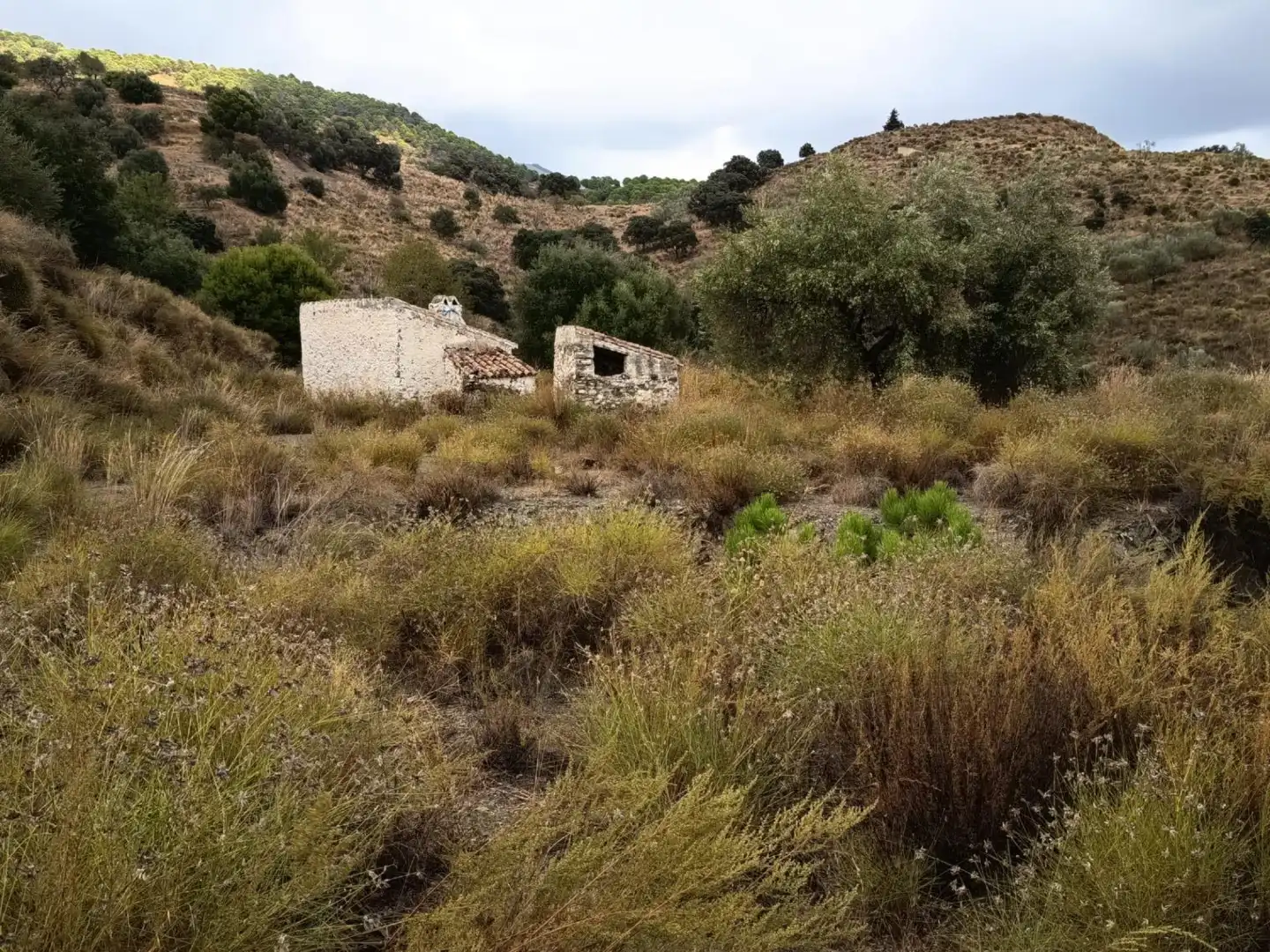 Terreni e lotti in vendita a Sedella, imagen 5