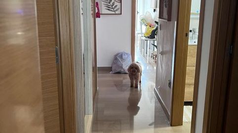 Foto 5 de Piso de alquiler en Passeig de Ricardo Ortega, La Pedrera - Vessanes, Dénia