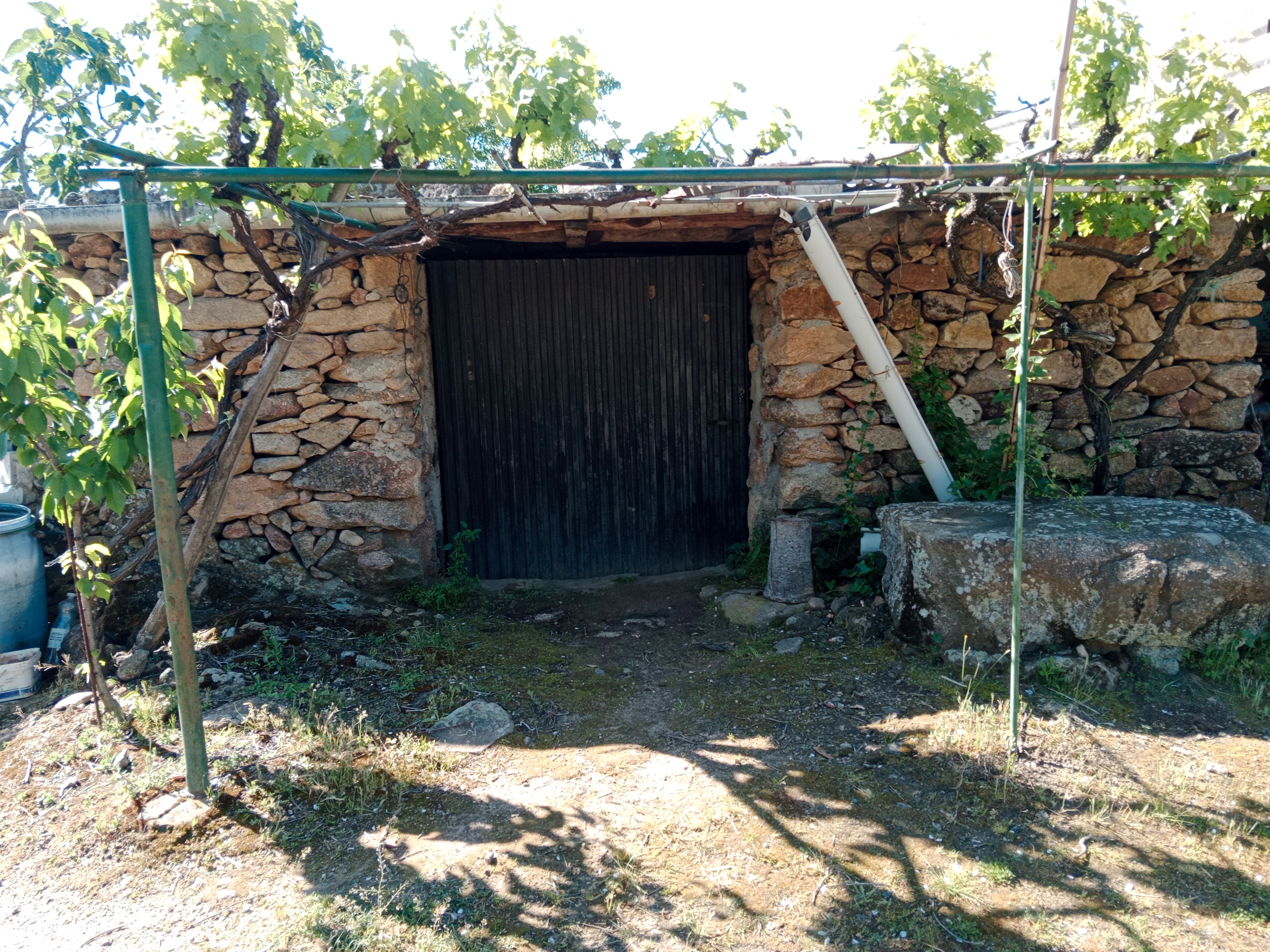 Land for sale in Barrado
