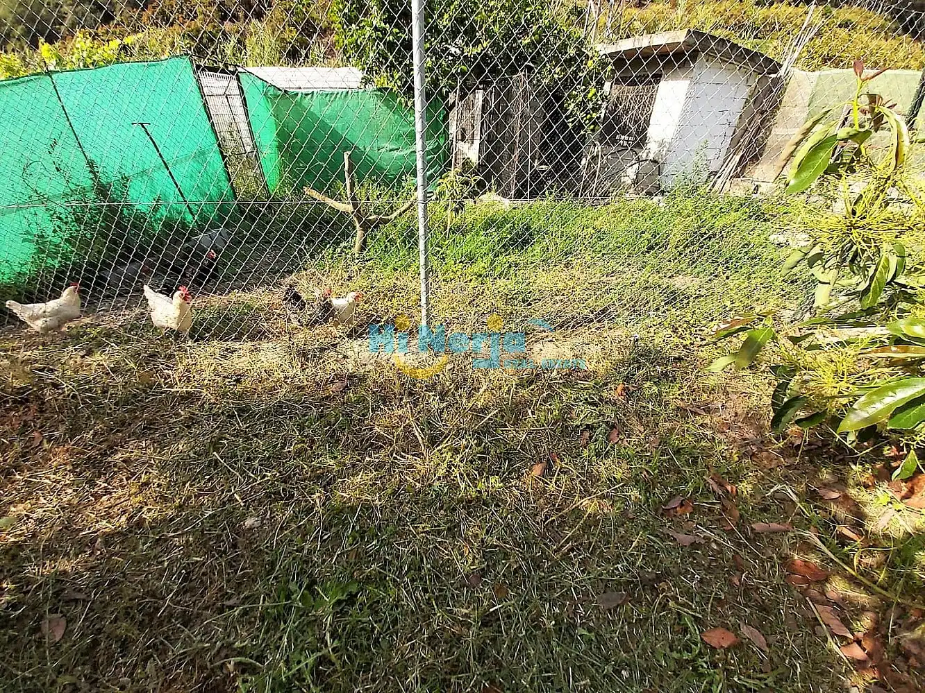 Casa amb piscina en venda a Centro, imagen 31